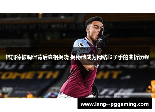 林加德被调侃背后真相揭晓 揭秘他成为网络段子手的曲折历程 林加德被调侃背后真相揭晓 揭秘他成为网络段子手的曲折历程