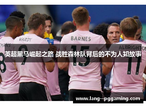 英超黑马崛起之路 战胜森林队背后的不为人知故事