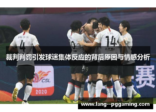 裁判判罚引发球迷集体反应的背后原因与情感分析