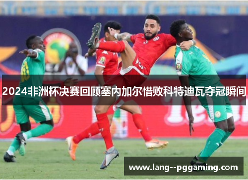 2024非洲杯决赛回顾塞内加尔惜败科特迪瓦夺冠瞬间 2024非洲杯决赛回顾塞内加尔惜败科特迪瓦夺冠瞬间
