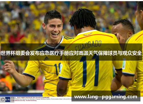 世界杯组委会发布应急医疗手册应对高温天气保障球员与观众安全 世界杯组委会发布应急医疗手册应对高温天气保障球员与观众安全