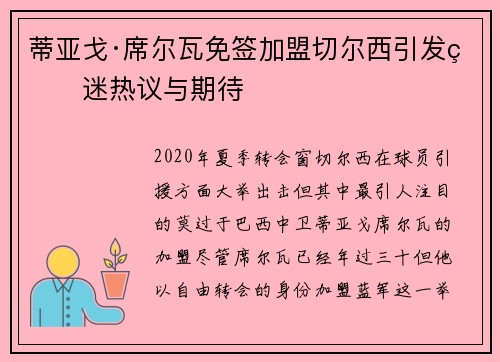 蒂亚戈·席尔瓦免签加盟切尔西引发球迷热议与期待